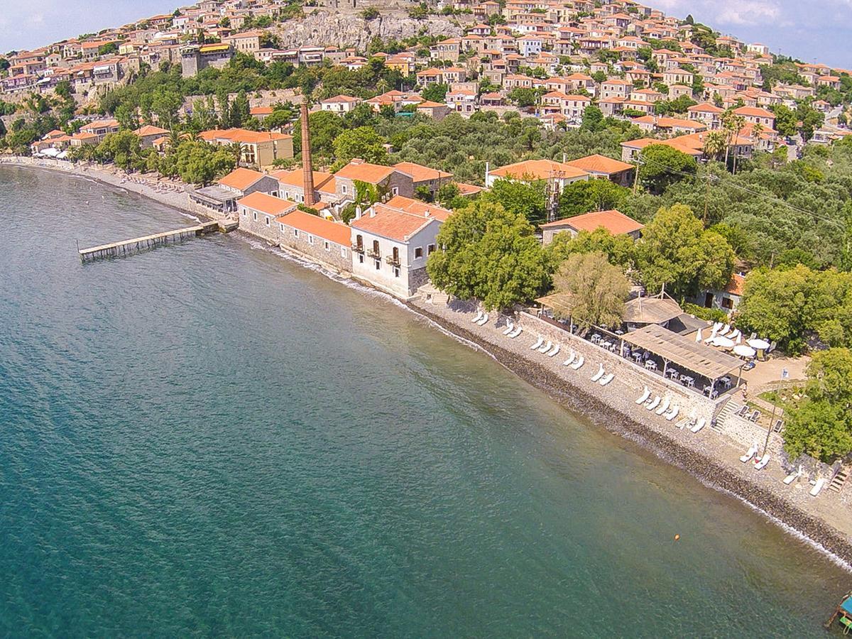 Olive Press Hotel & Apartments Митимна Екстериор снимка