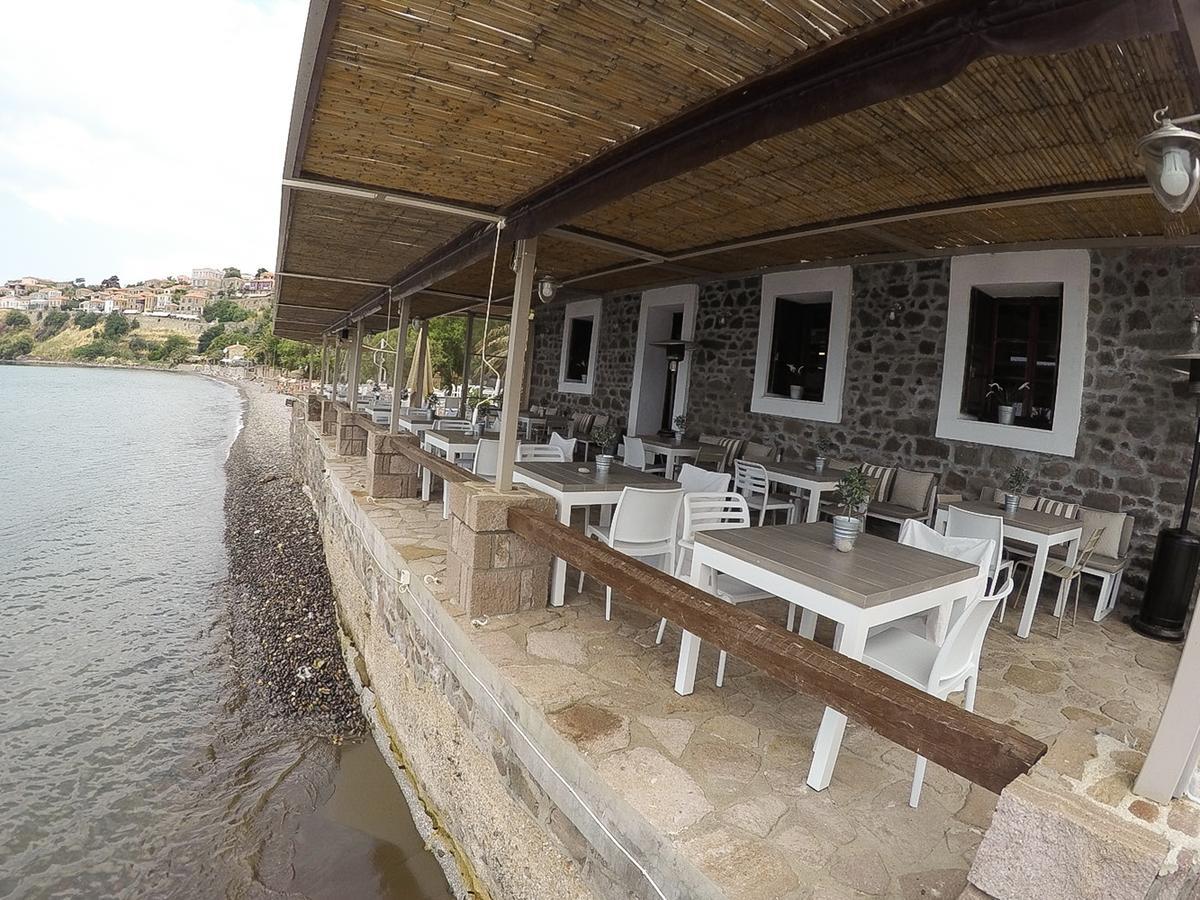 Olive Press Hotel & Apartments Митимна Екстериор снимка